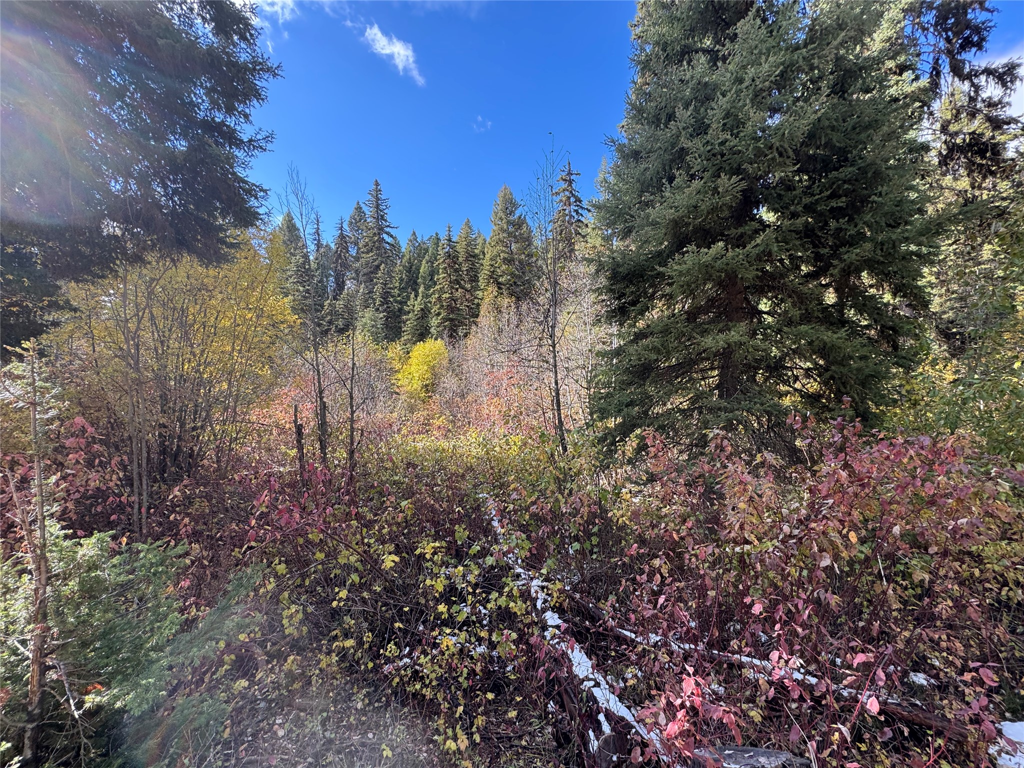 250 Summit Drive Property Photo 25