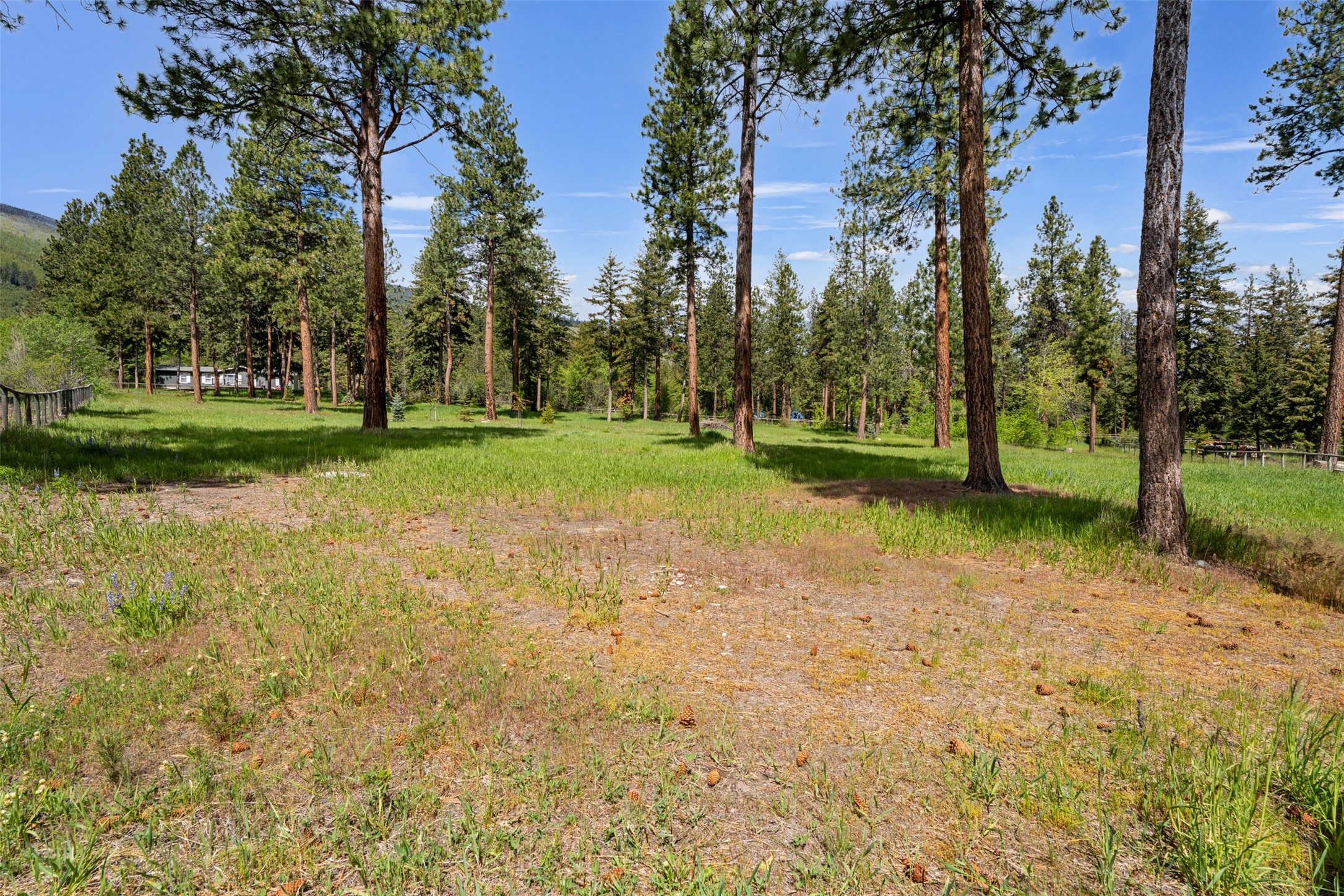 895 W Cow Creek Road Property Photo 54