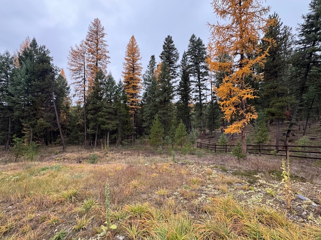 Nhn Glen Lake Road Property Photo 5