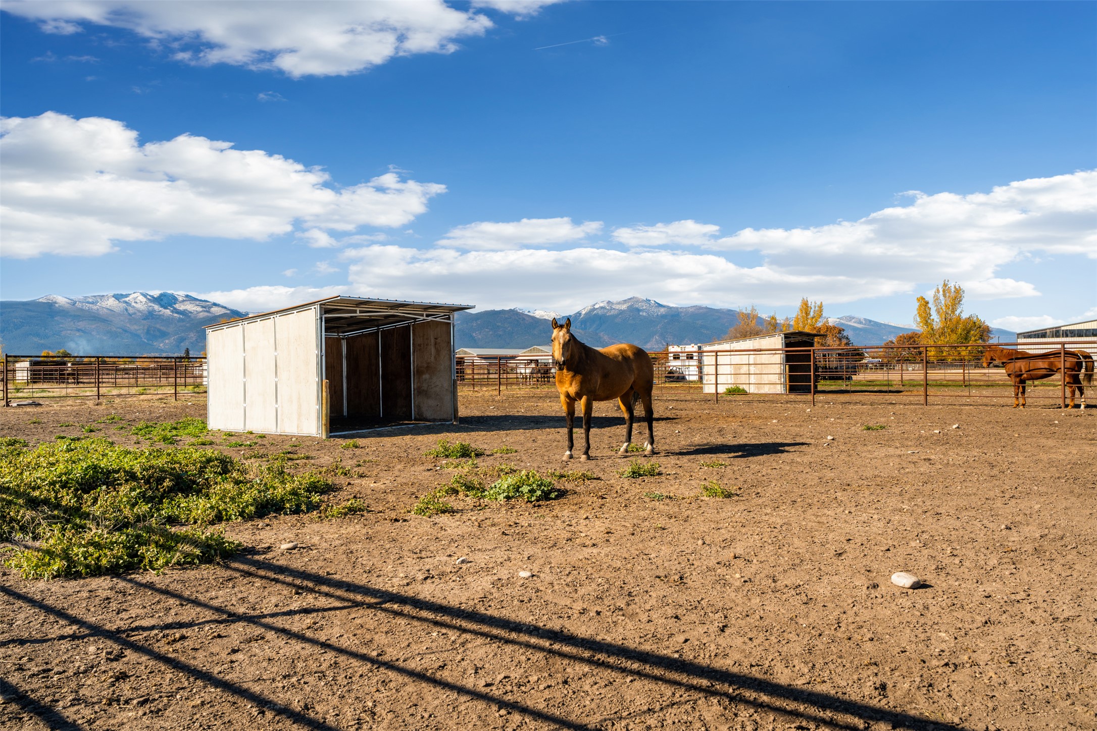 224 Rusty Spur Way Property Photo 42
