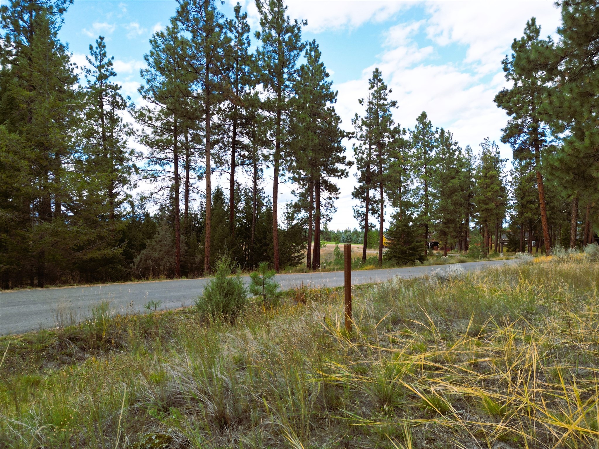 711 Wilderness Club Drive Property Photo 17