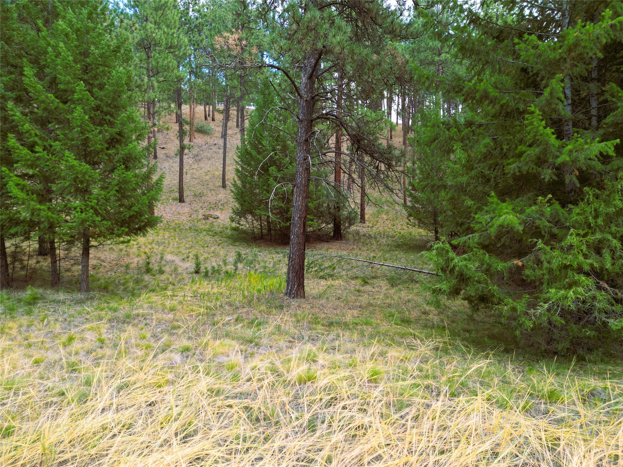 711 Wilderness Club Drive Property Photo 18