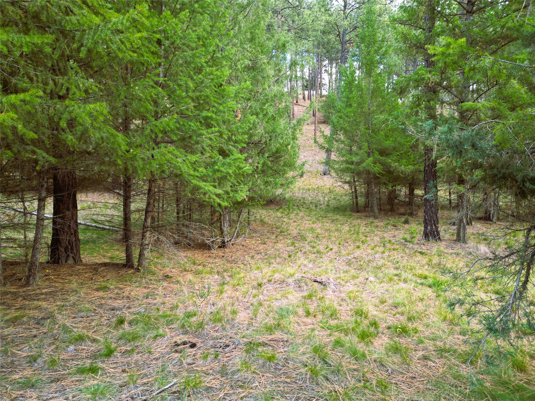 711 Wilderness Club Drive Property Photo 19