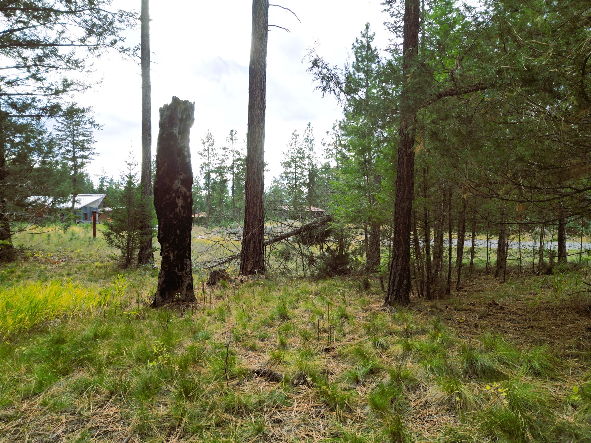711 Wilderness Club Drive Property Photo 20