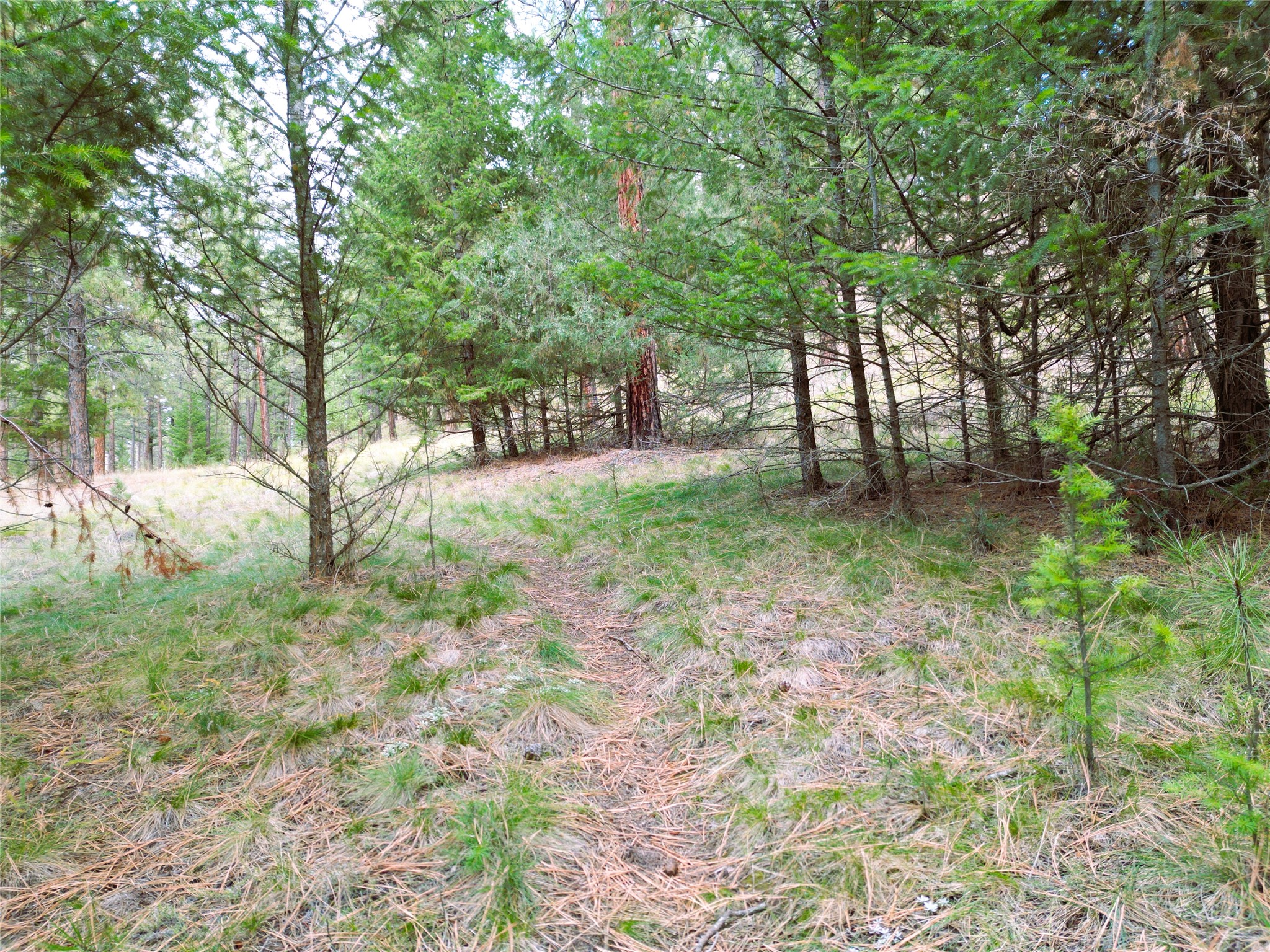 711 Wilderness Club Drive Property Photo 21