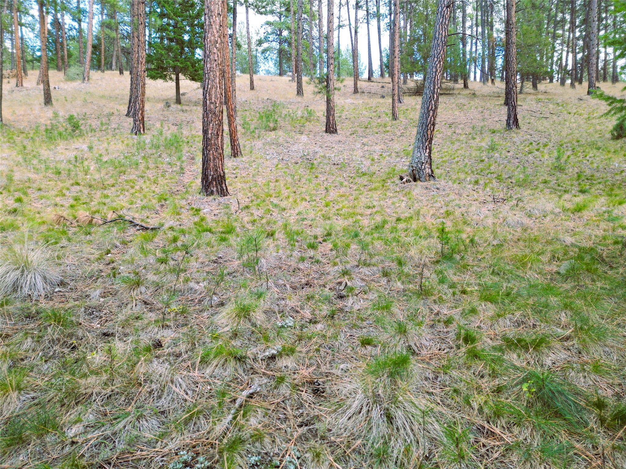 711 Wilderness Club Drive Property Photo 22