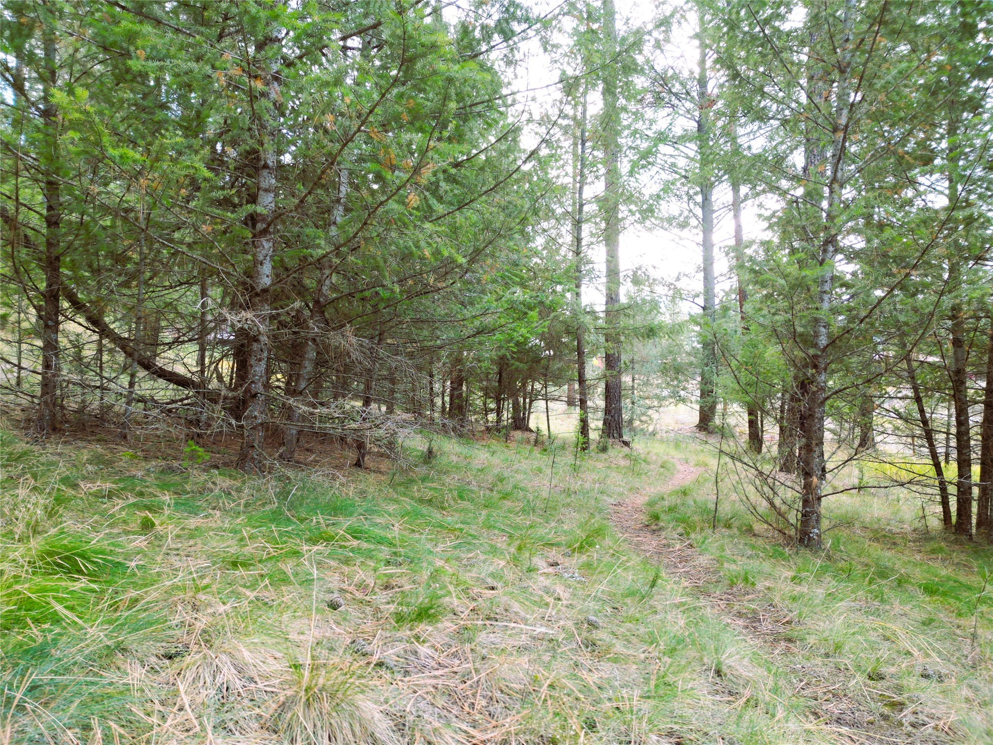 711 Wilderness Club Drive Property Photo 25