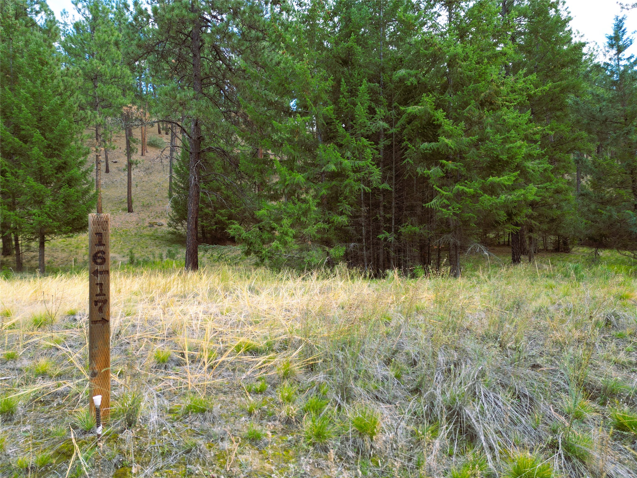 711 Wilderness Club Drive Property Photo 26