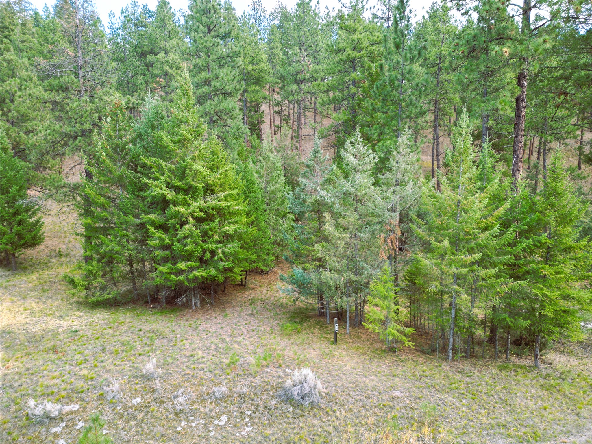 711 Wilderness Club Drive Property Photo 27