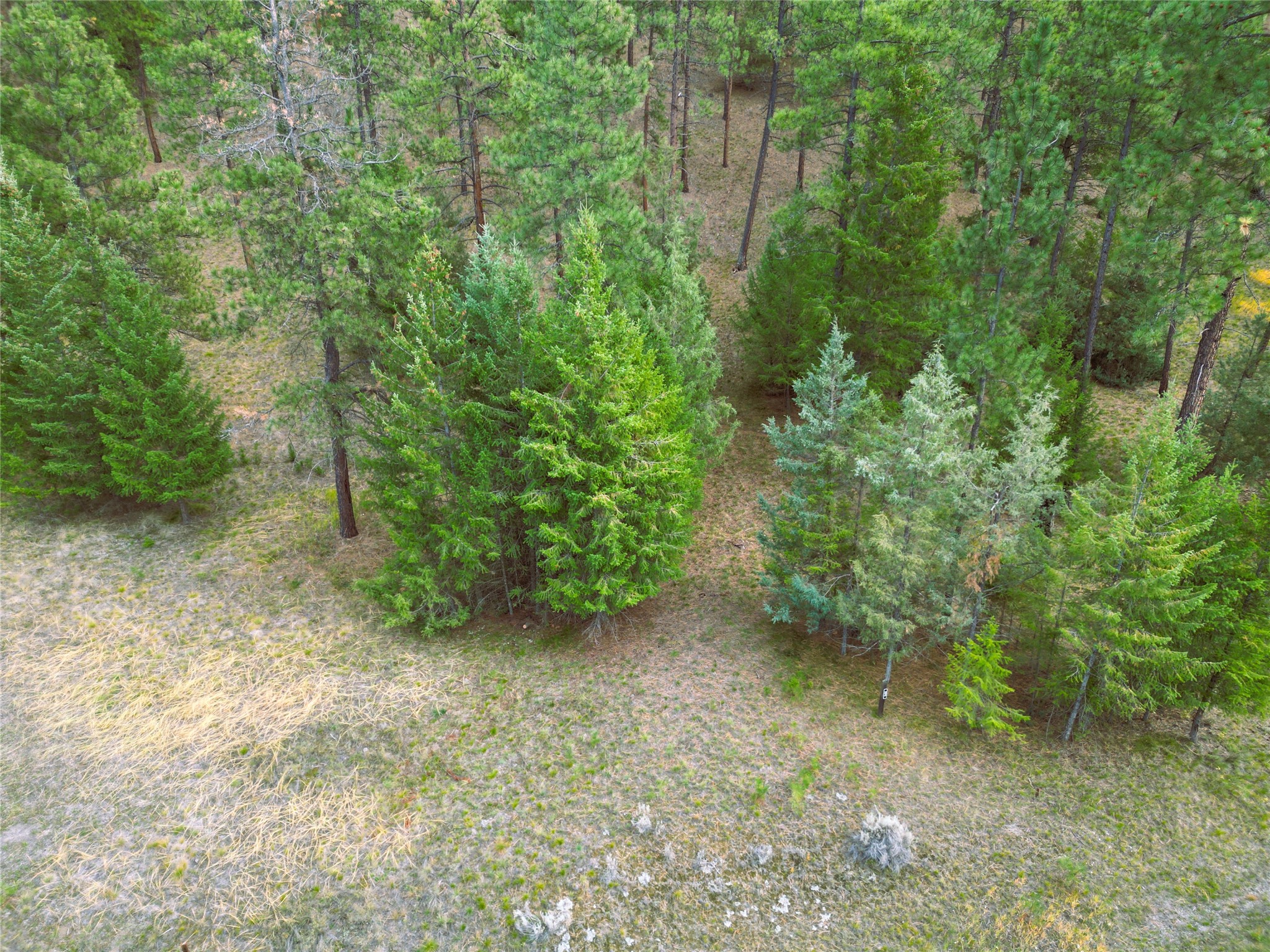 711 Wilderness Club Drive Property Photo 28