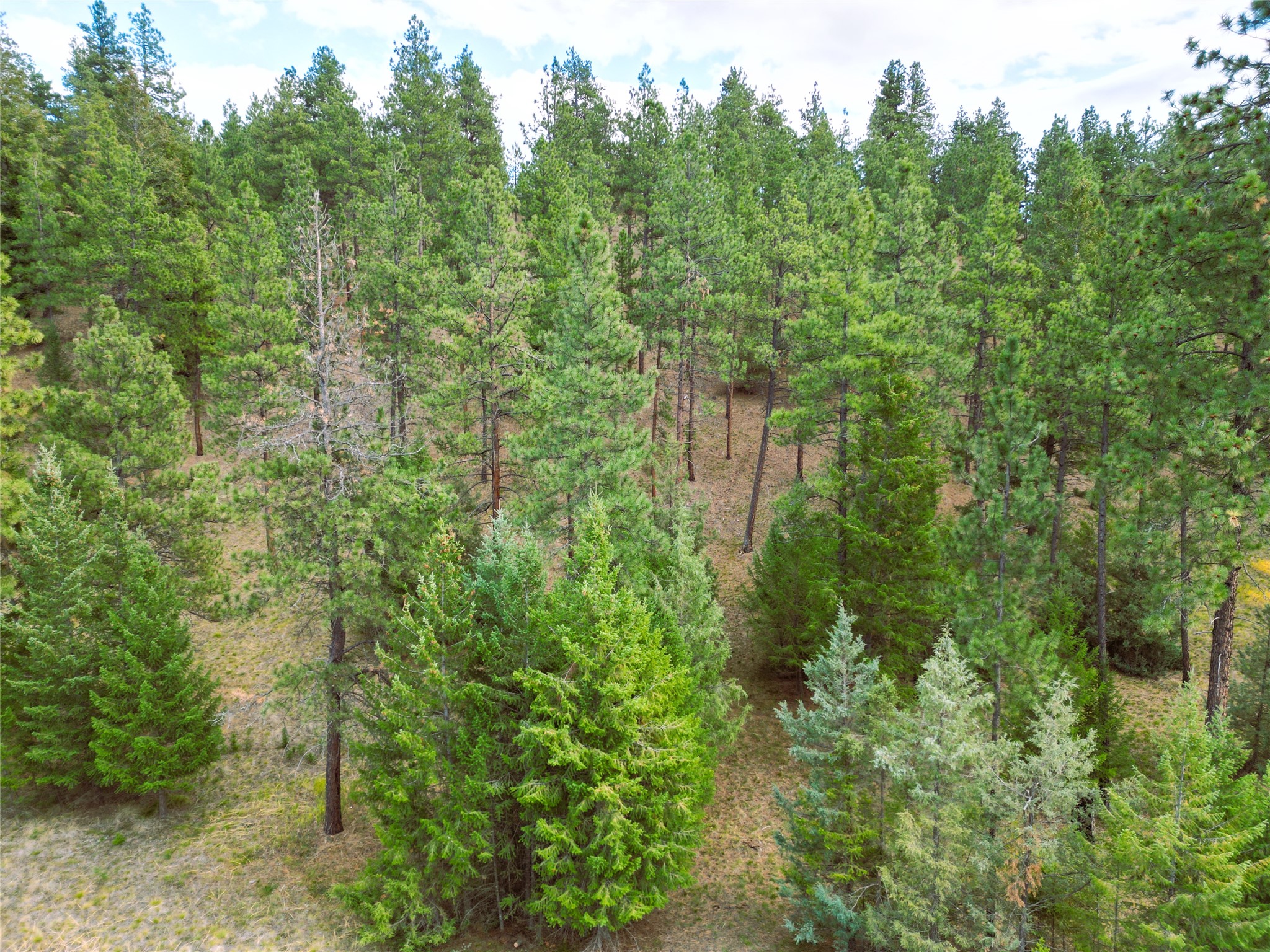 711 Wilderness Club Drive Property Photo 29