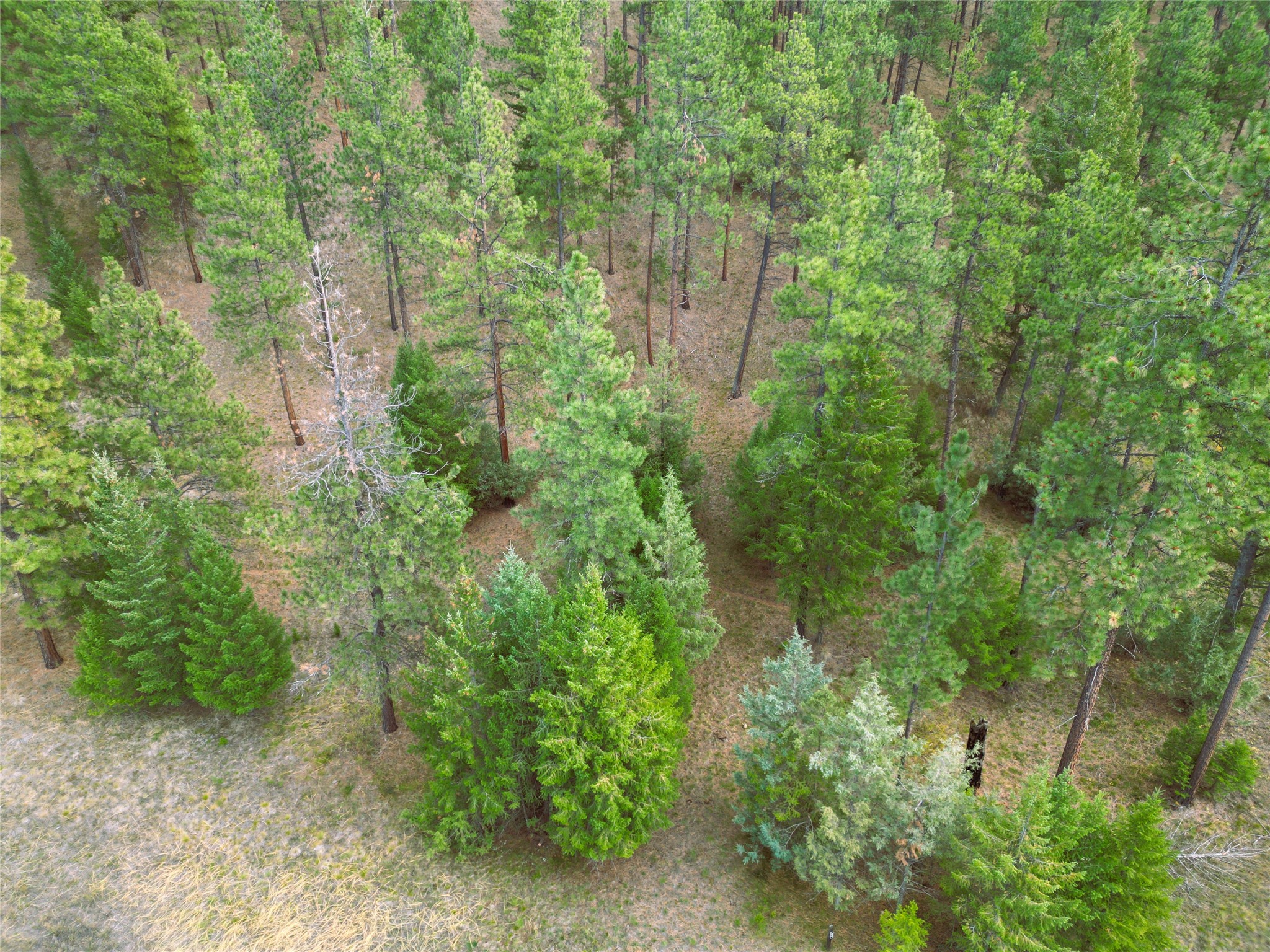 711 Wilderness Club Drive Property Photo 30