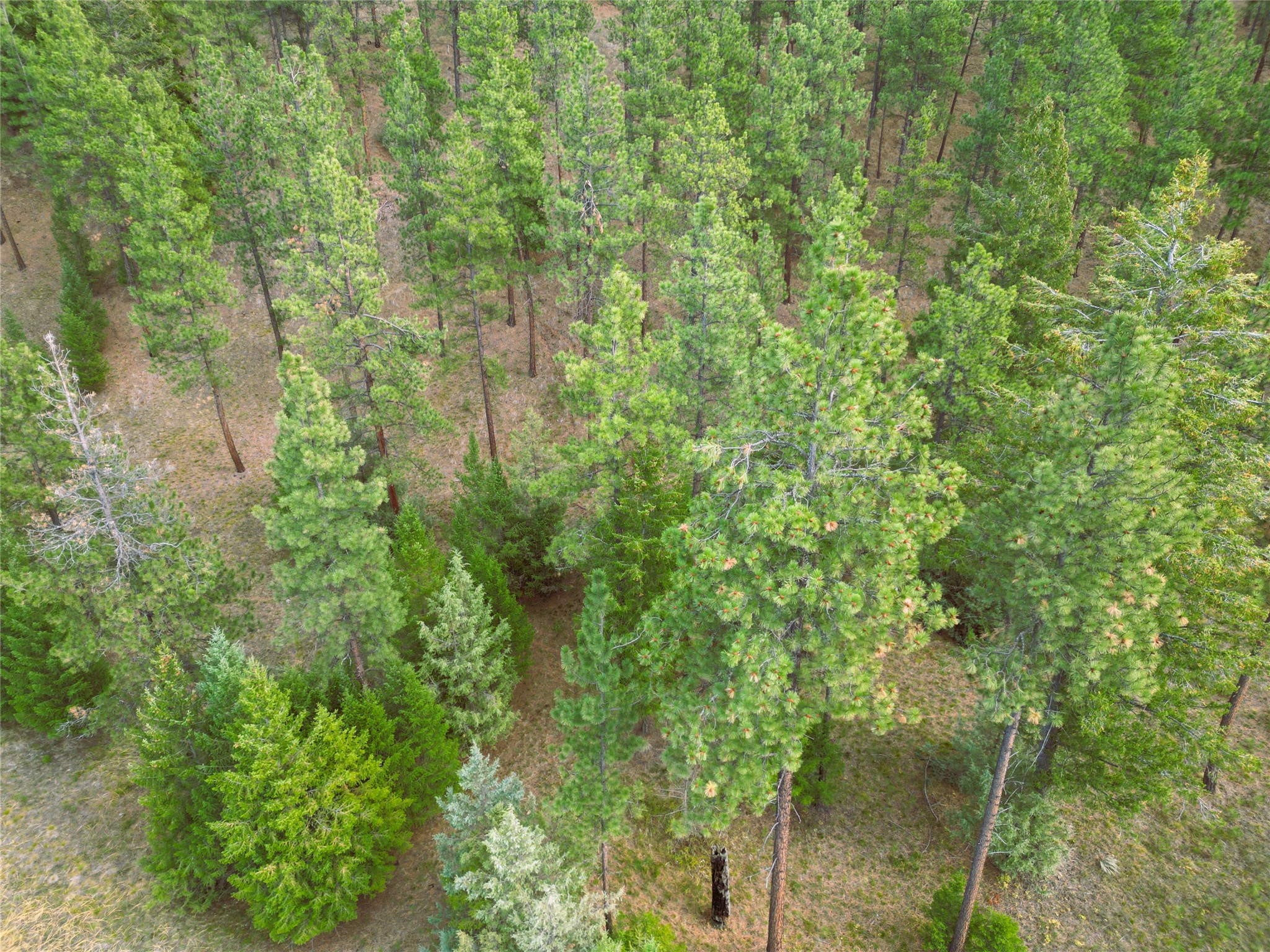 711 Wilderness Club Drive Property Photo 32