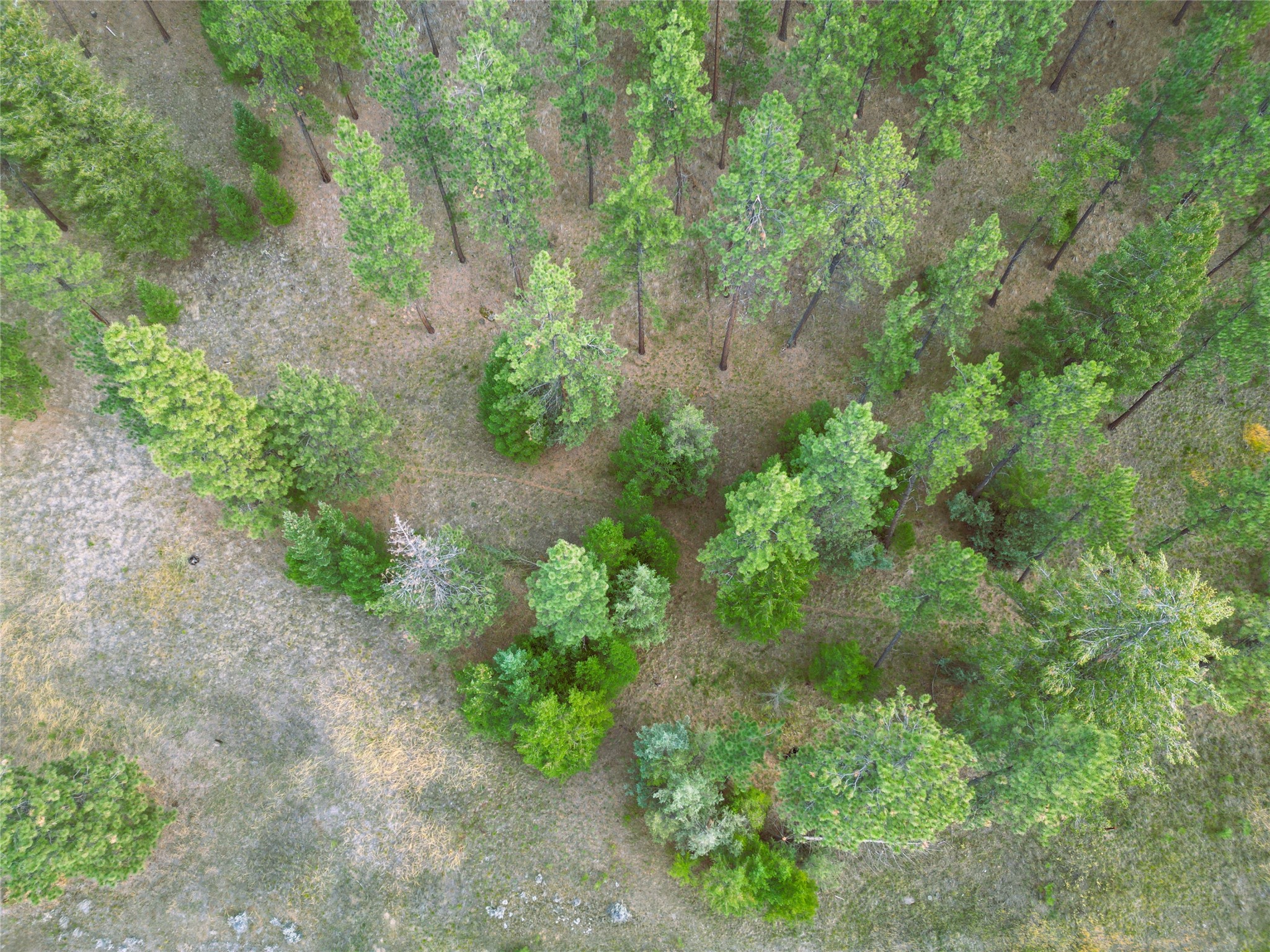 711 Wilderness Club Drive Property Photo 33