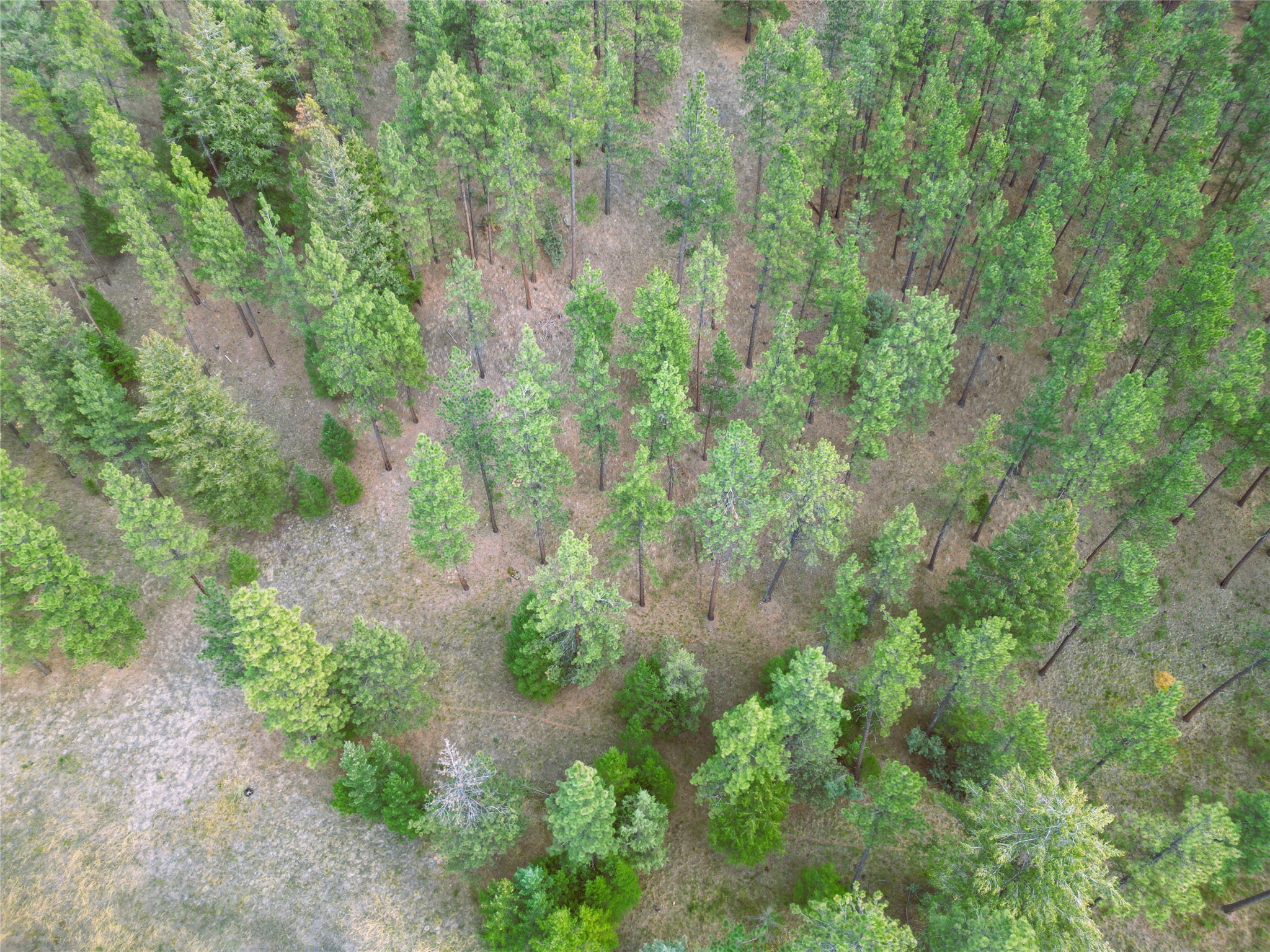 711 Wilderness Club Drive Property Photo 35
