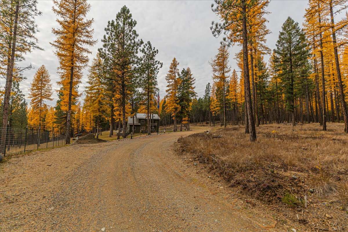 1537 Pomeroy Trail Property Photo 77