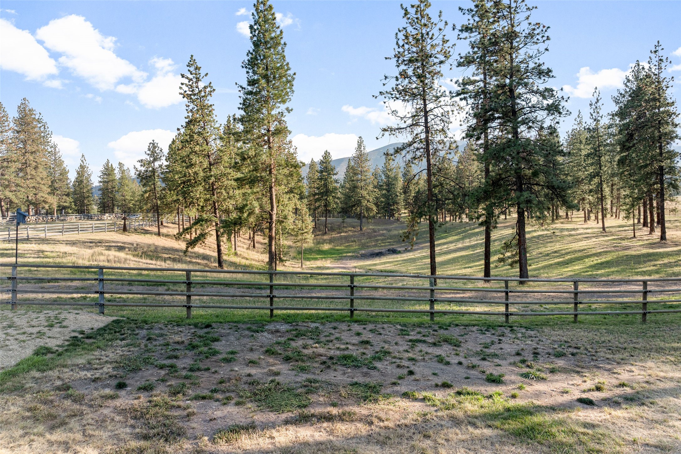 11775 Horseback Ridge Road Property Photo 135