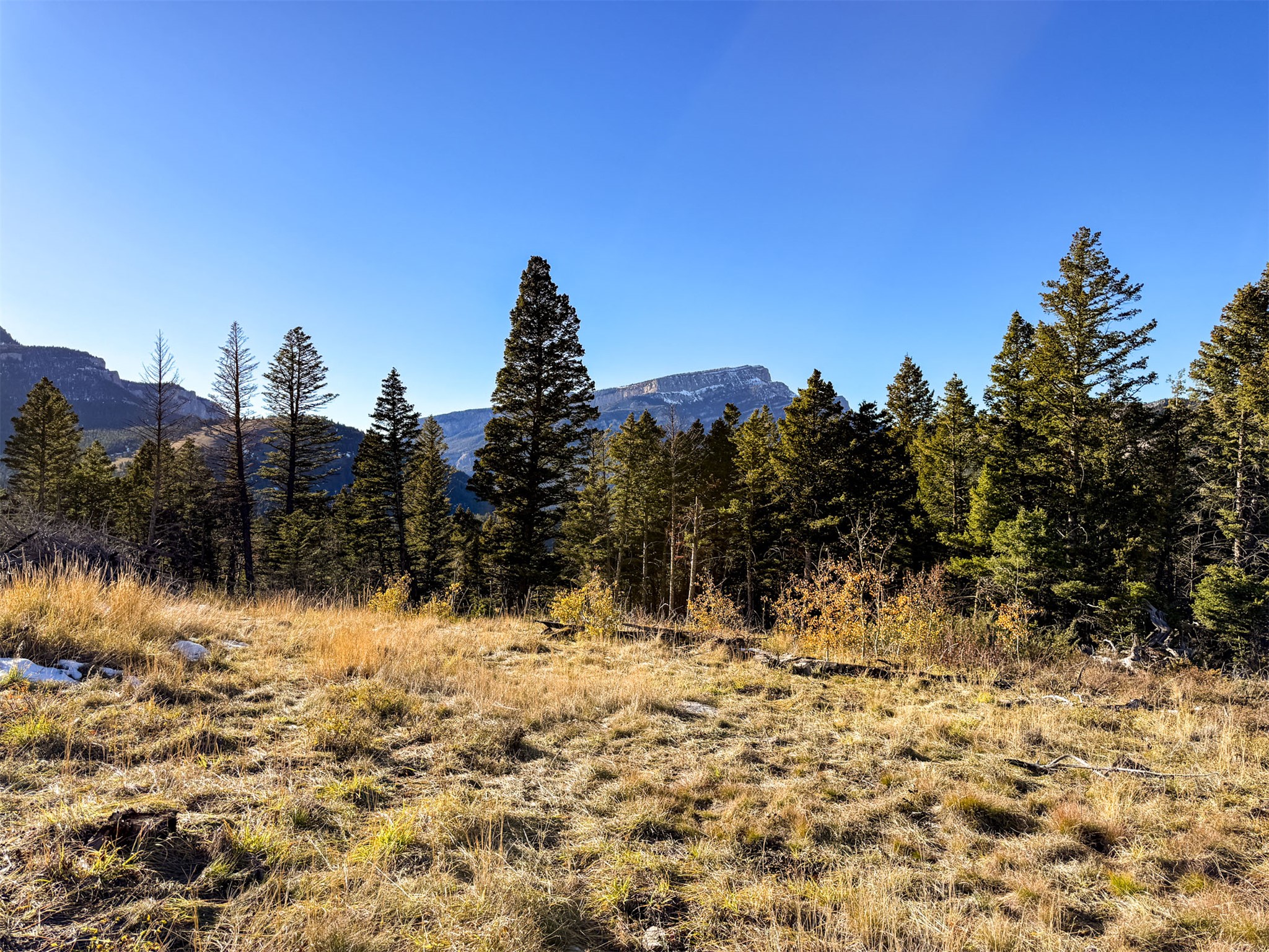 3528 Table Mountain Road Property Photo 7