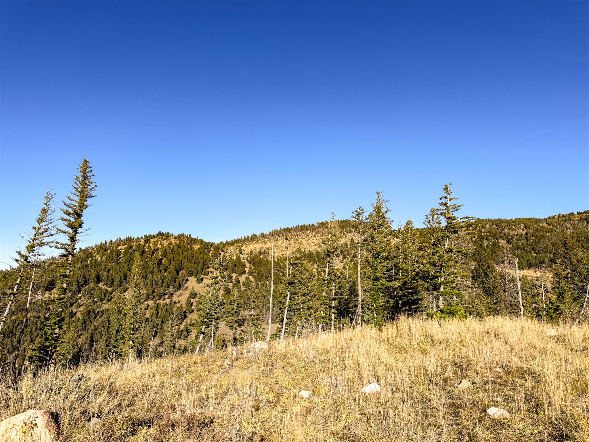 3528 Table Mountain Road Property Photo 22