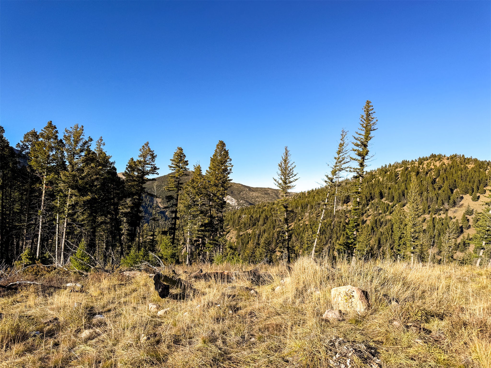 3528 Table Mountain Road Property Photo 23