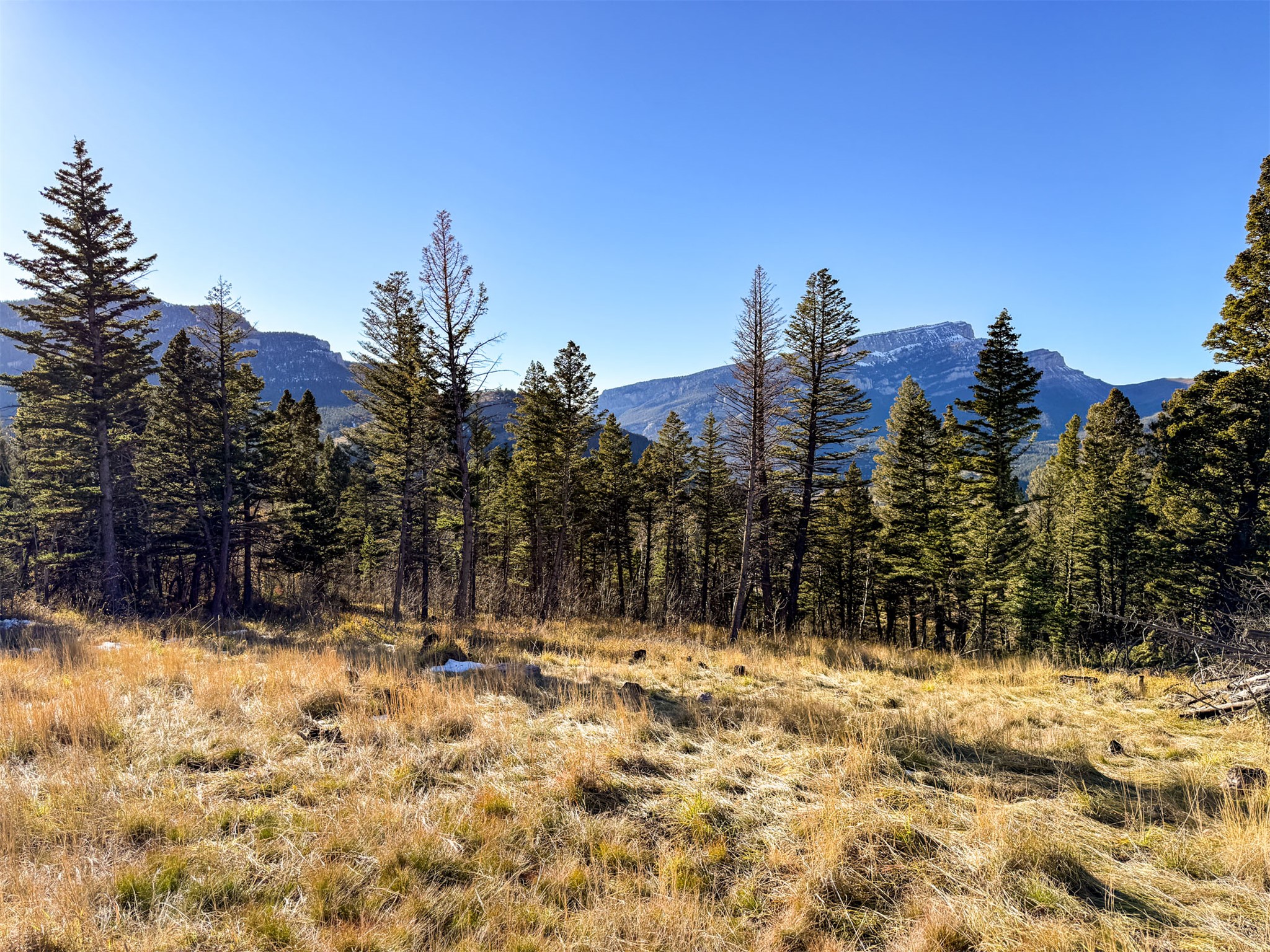 3528 Table Mountain Road Property Photo 24