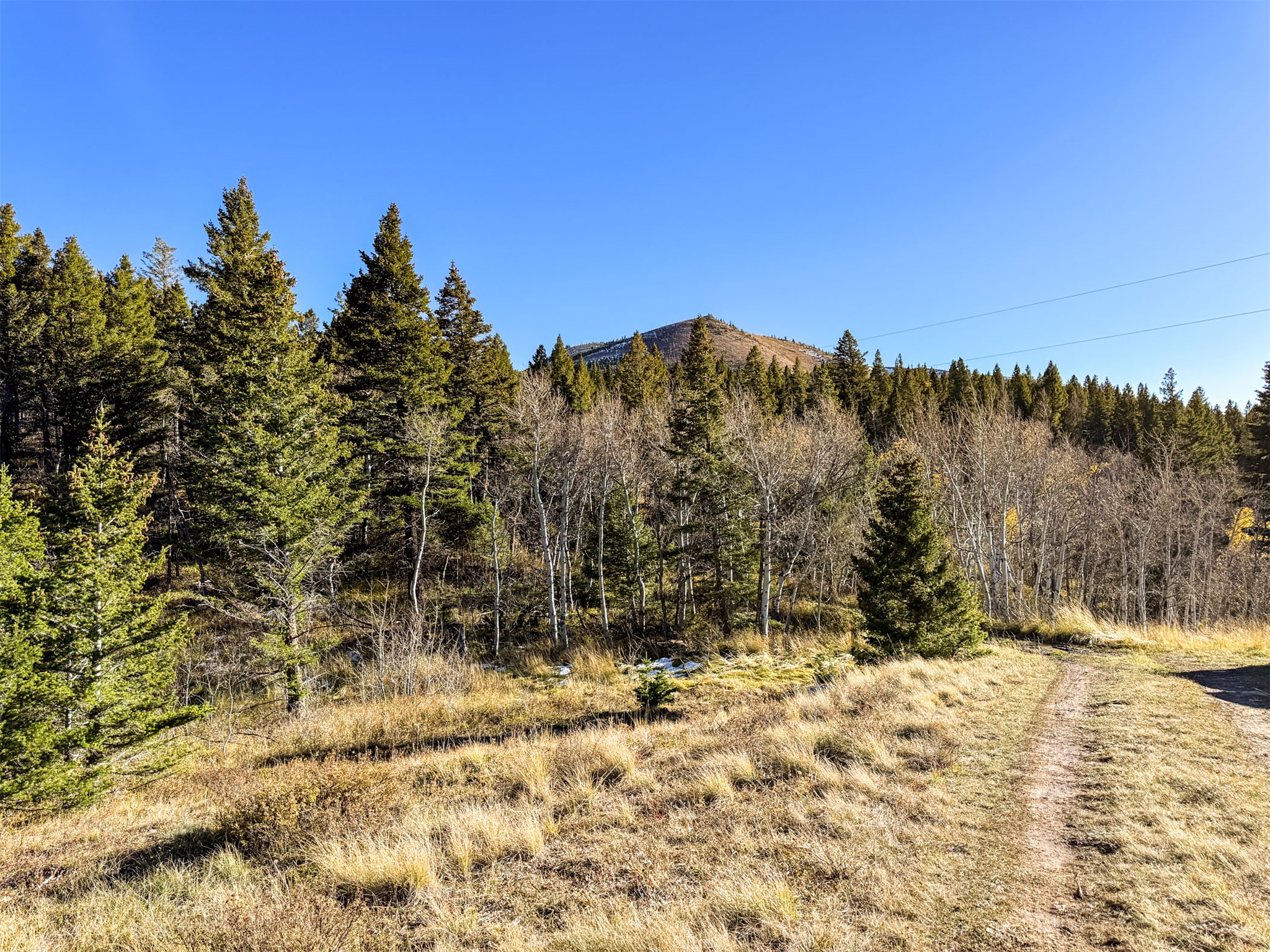 3528 Table Mountain Road Property Photo 25