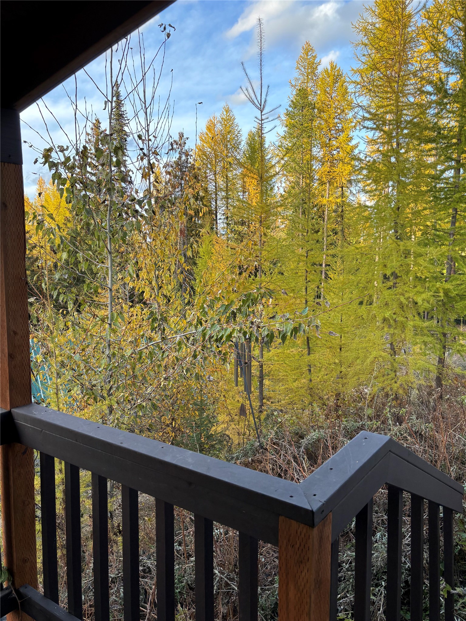 1089 Cedar Hills Road Property Photo 18