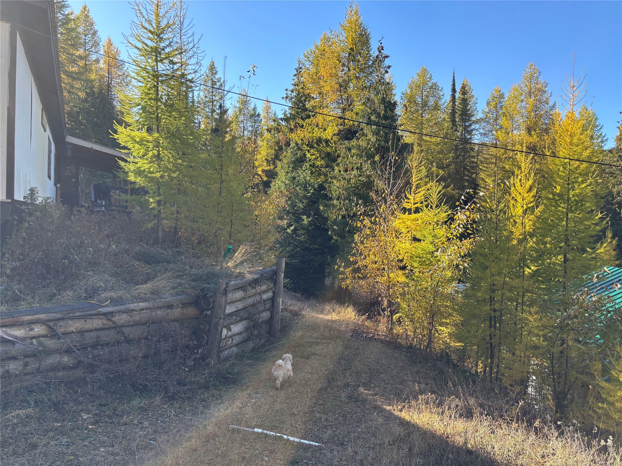 1089 Cedar Hills Road Property Photo 19