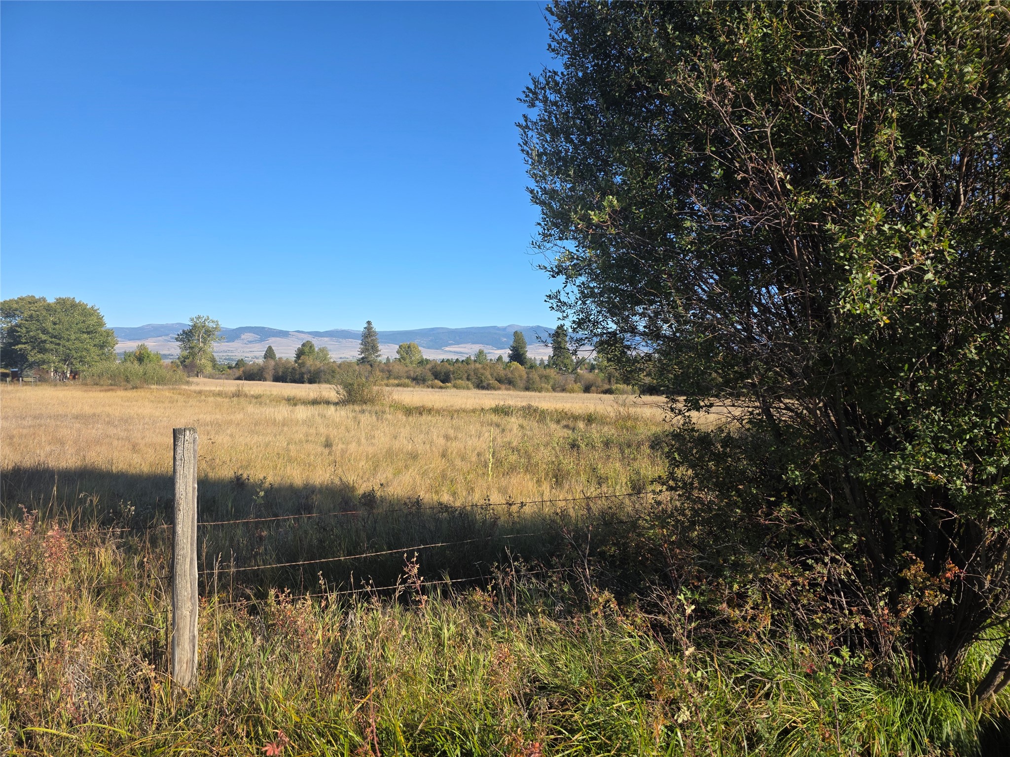 2326 Middle Bear Creek Road Property Photo 6