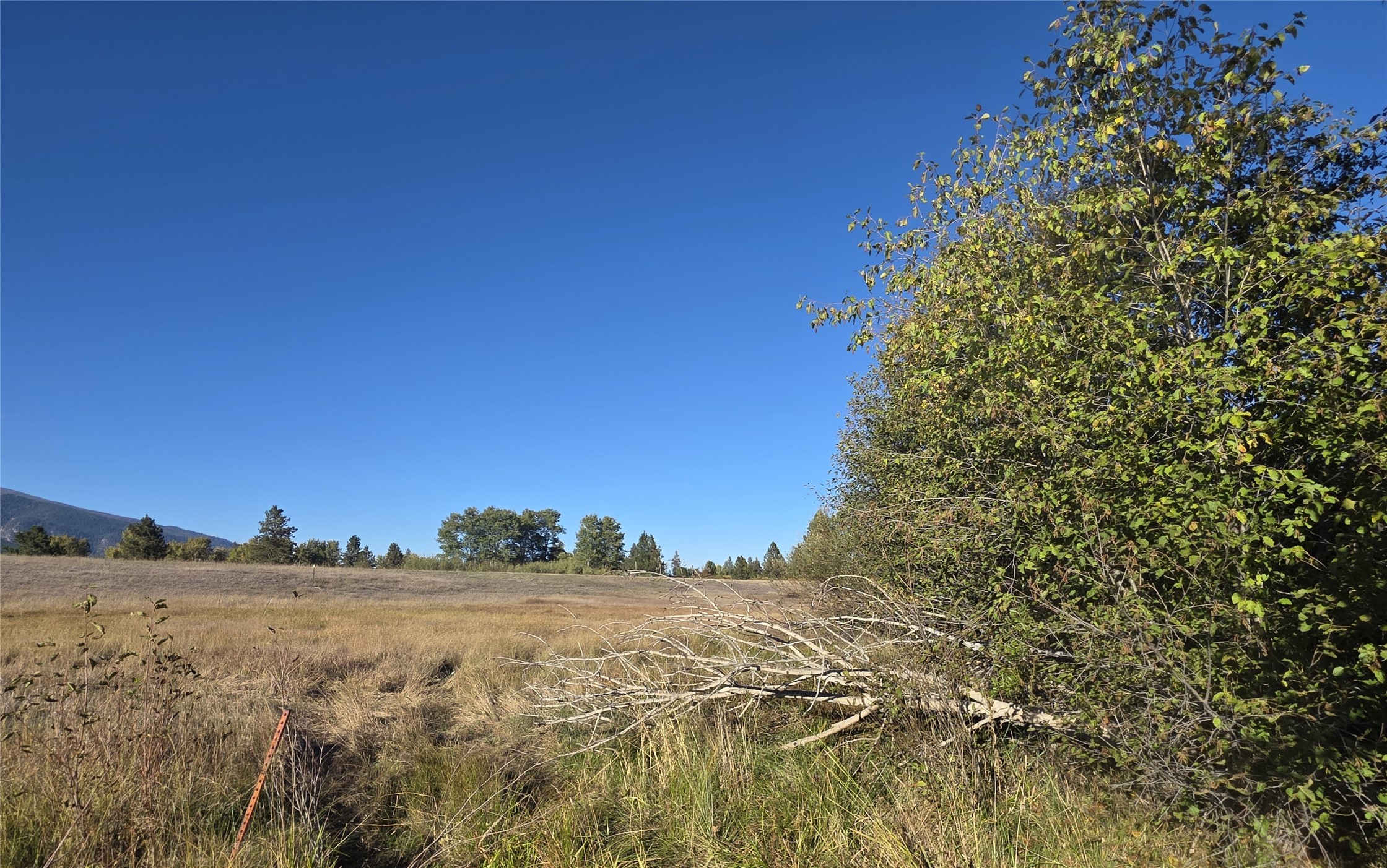 2326 Middle Bear Creek Road Property Photo 7