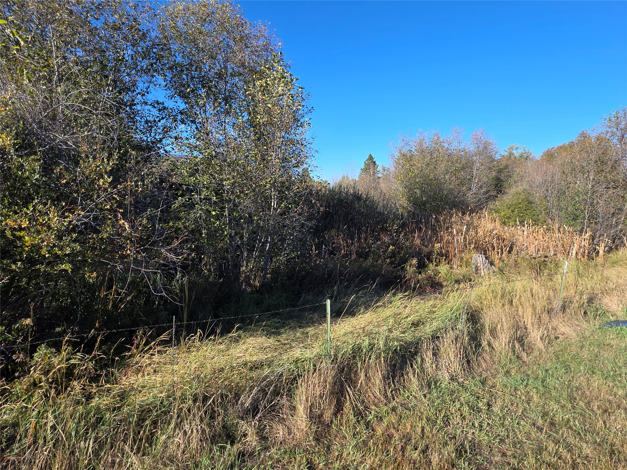 2326 Middle Bear Creek Road Property Photo 58