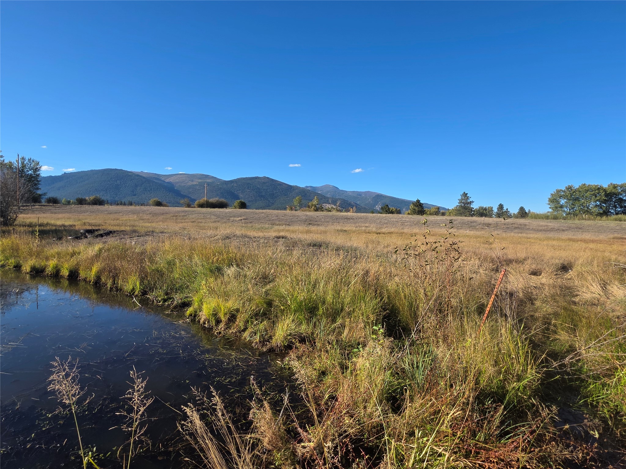 2326 Middle Bear Creek Road Property Photo 59
