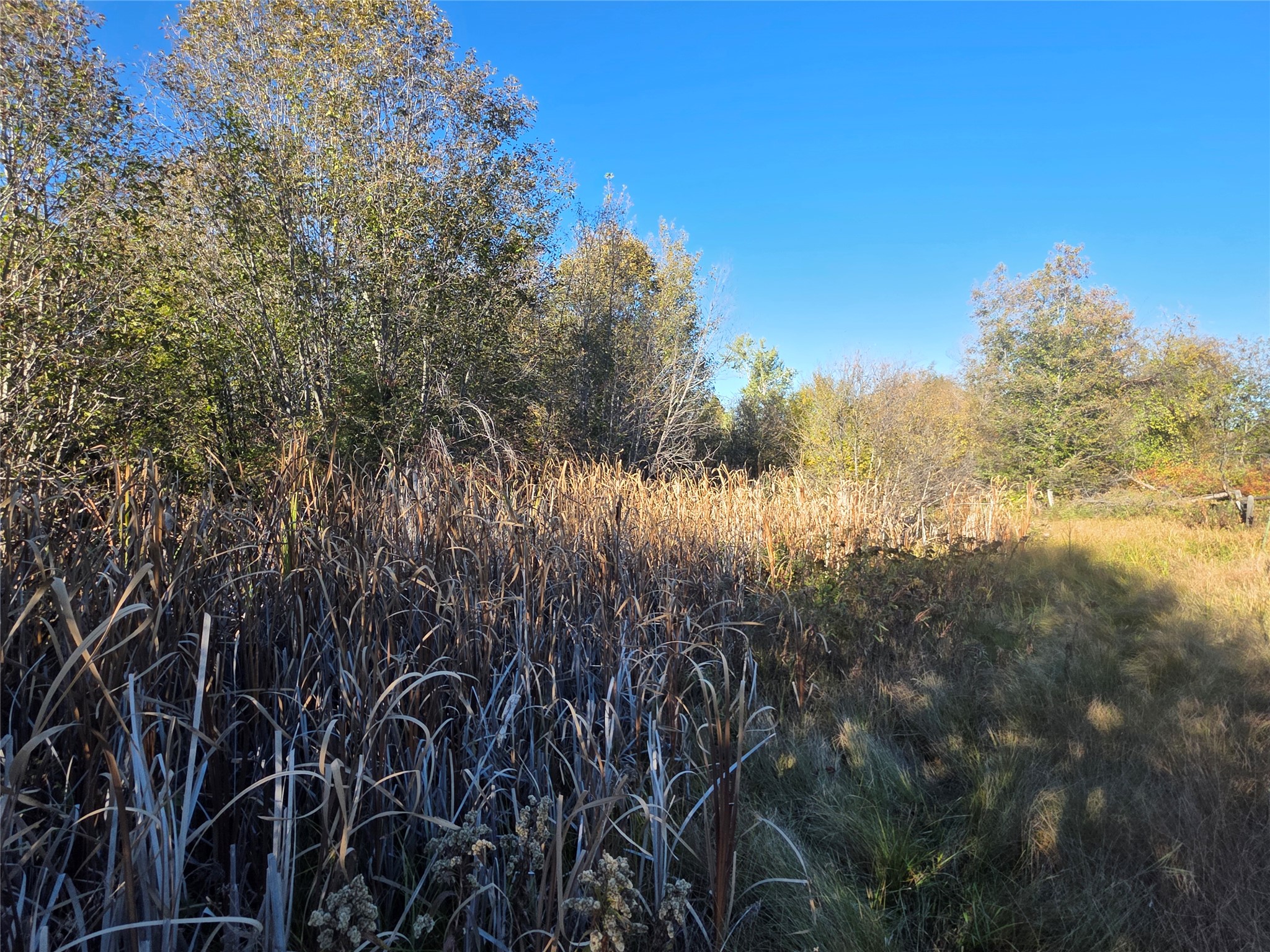 2326 Middle Bear Creek Road Property Photo 69