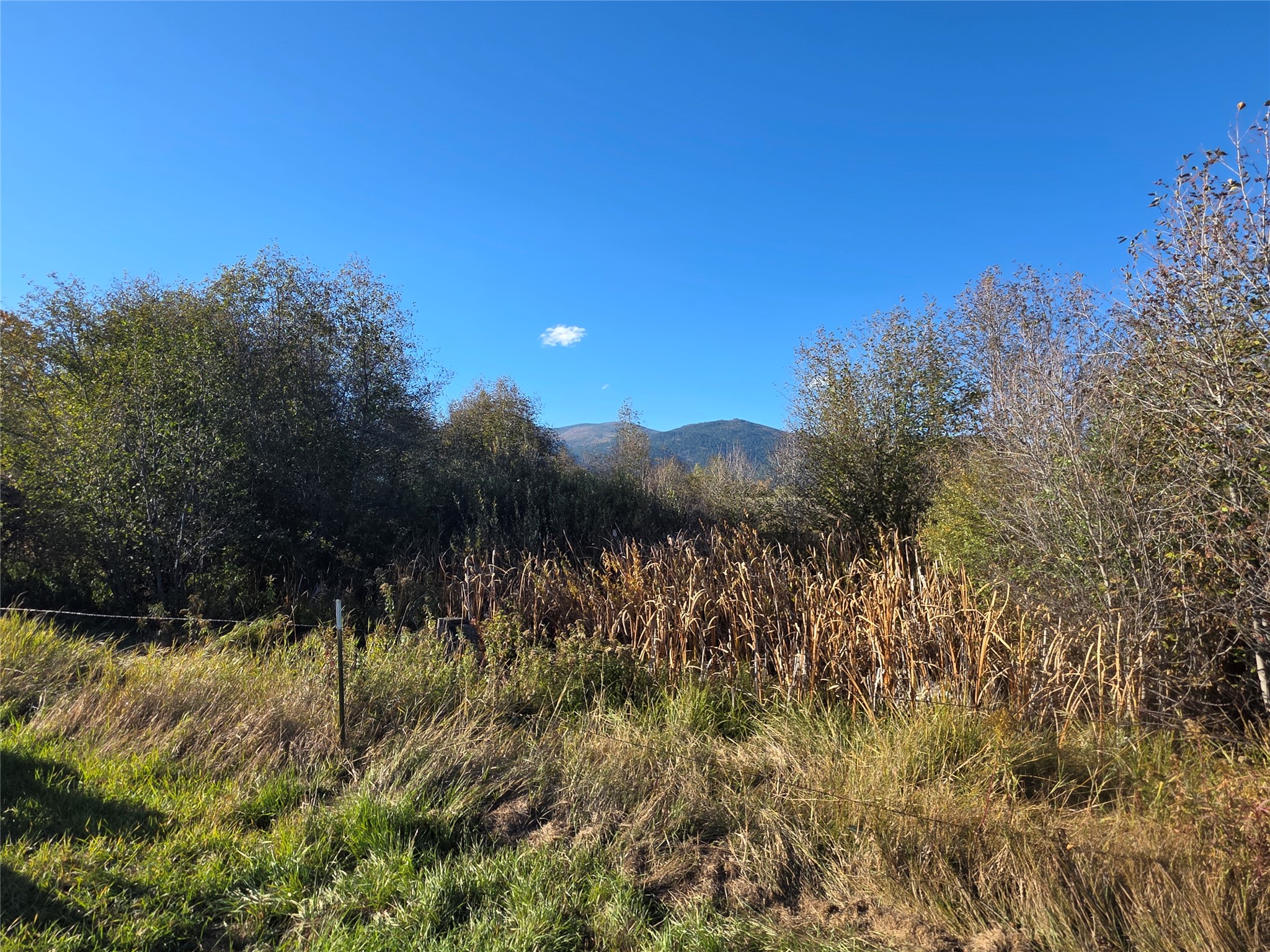 2326 Middle Bear Creek Road Property Photo 70