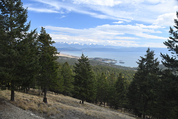 395 Buffalo Lane Property Photo 40