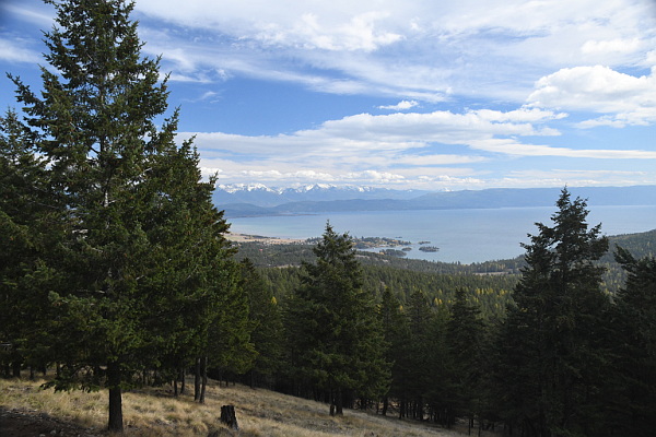 395 Buffalo Lane Property Photo 42