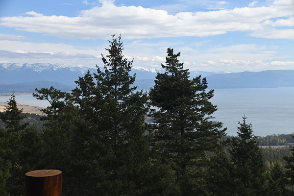 395 Buffalo Lane Property Photo 43