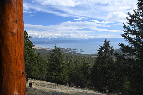 395 Buffalo Lane Property Photo 45