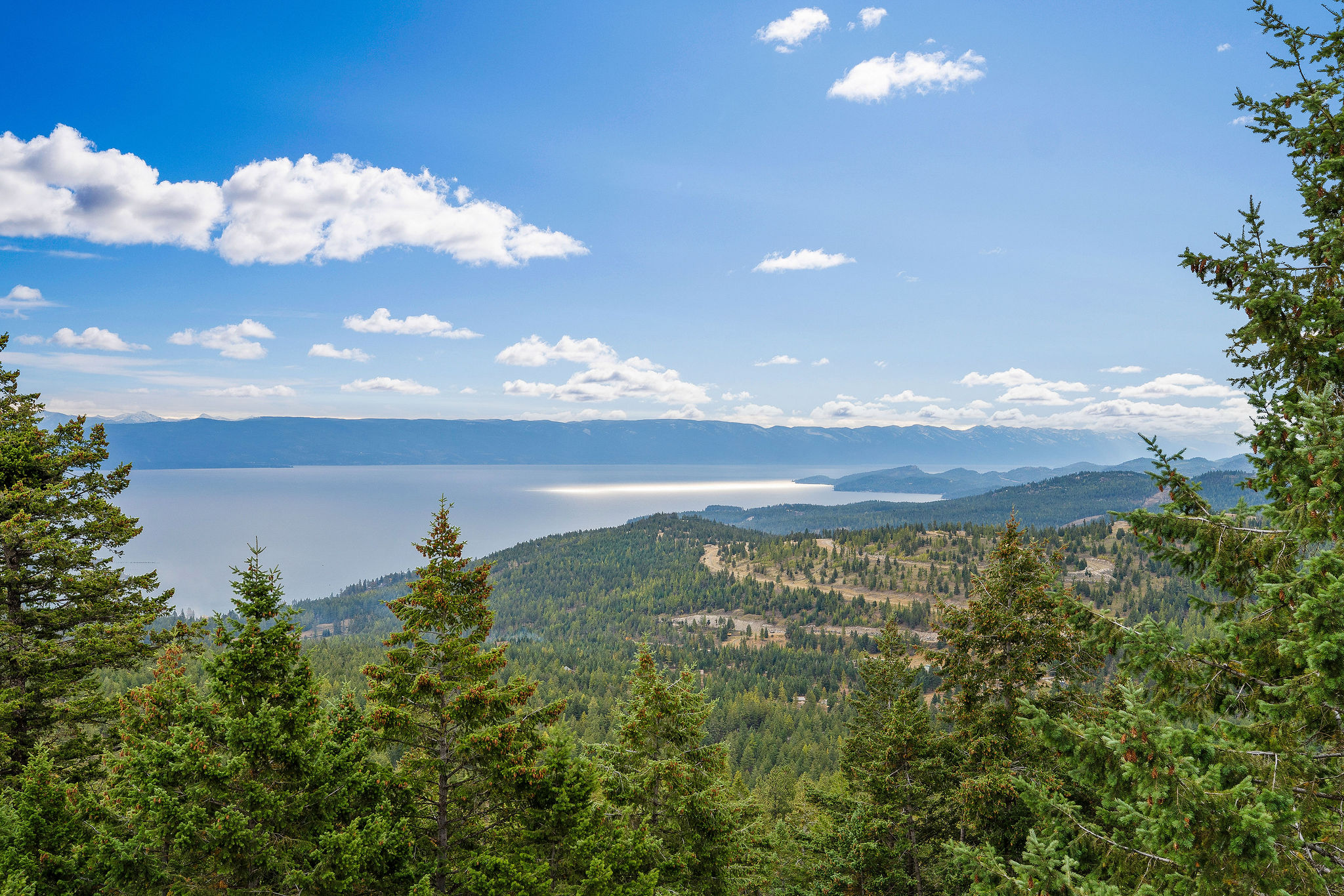 395 Buffalo Lane Property Photo 46