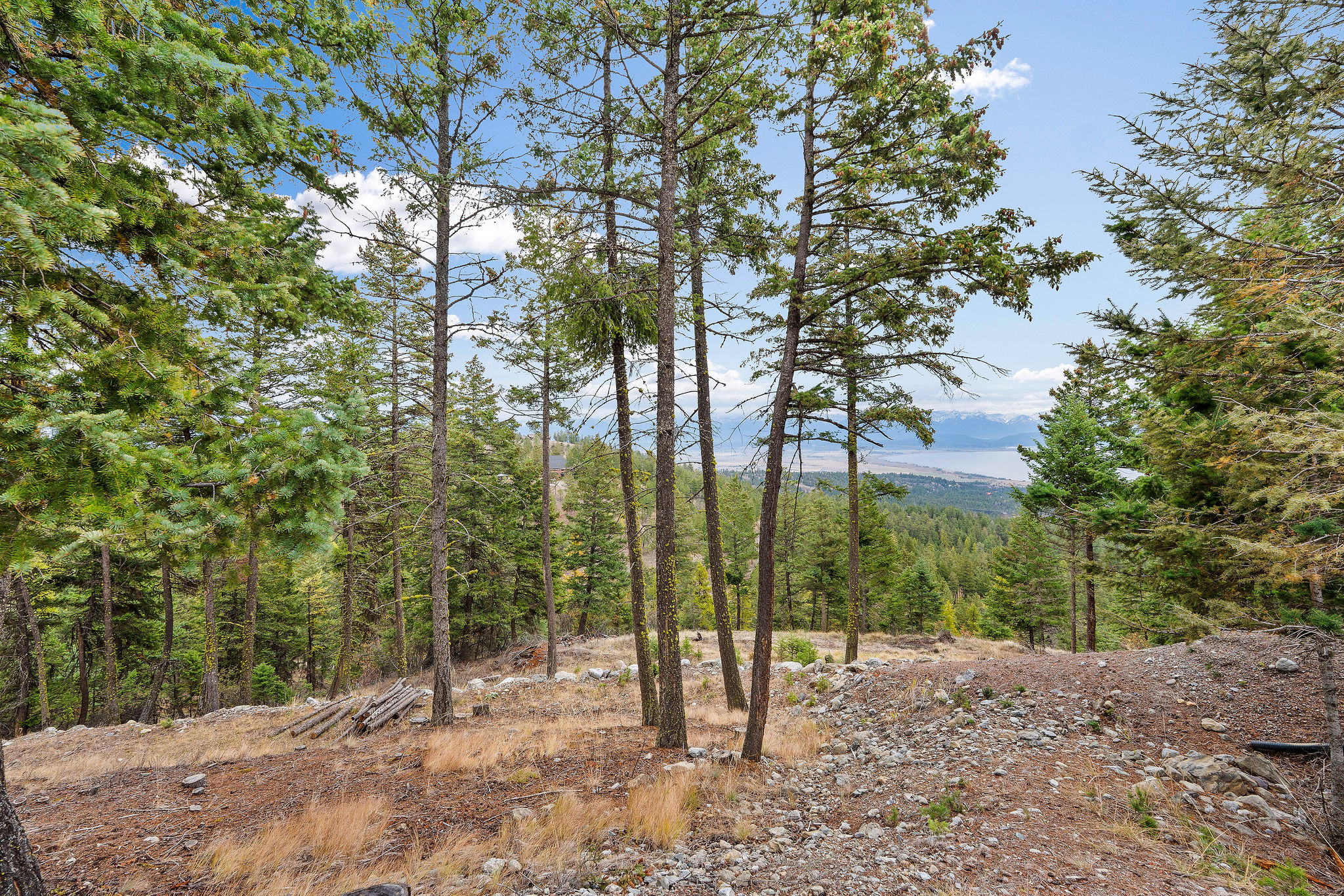 395 Buffalo Lane Property Photo 78