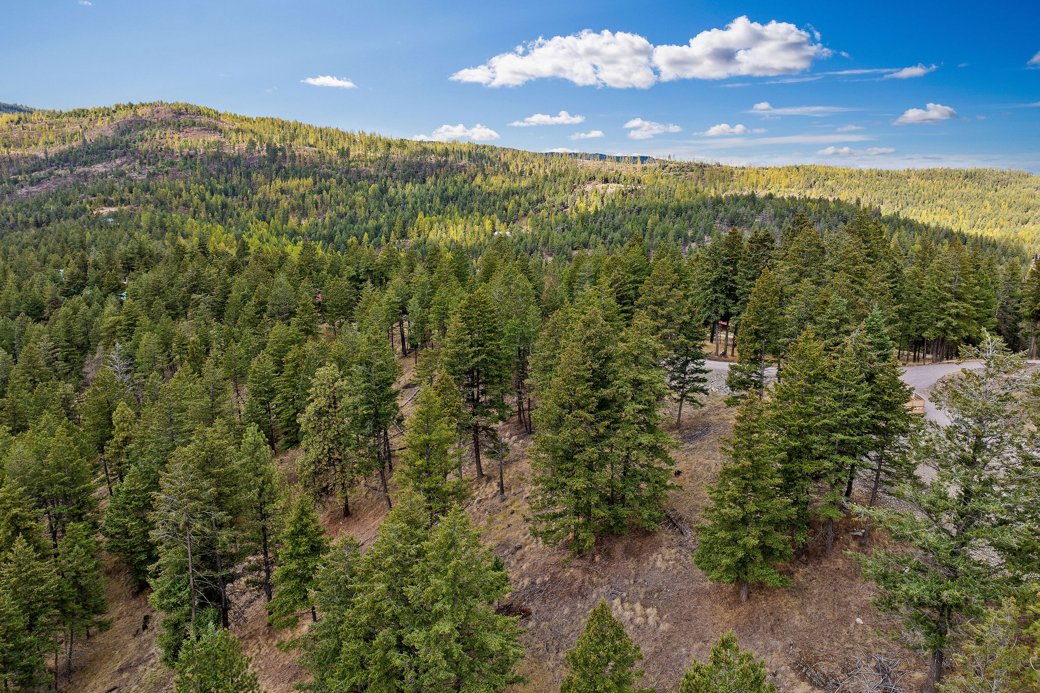 395 Buffalo Lane Property Photo 83