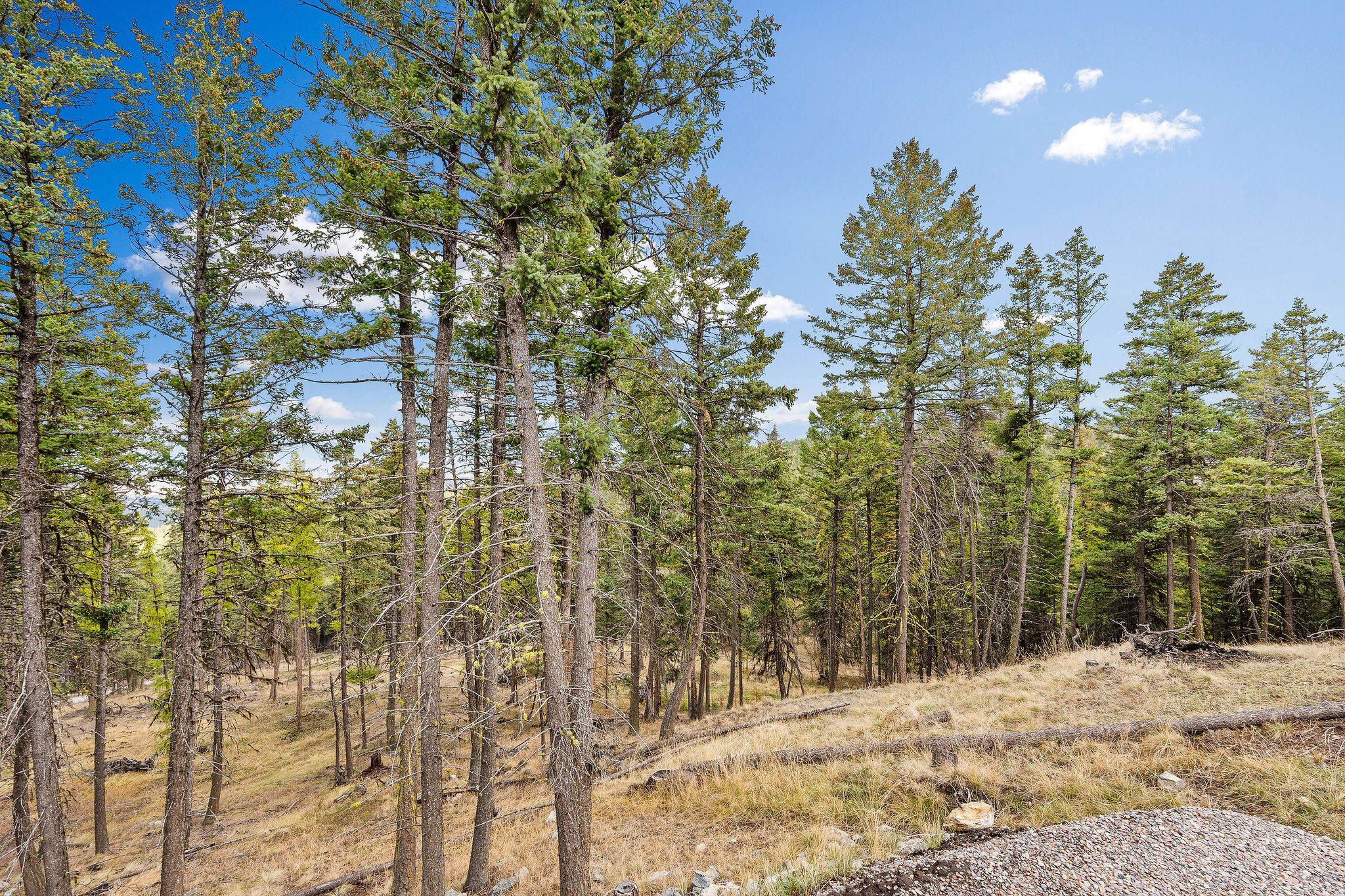 395 Buffalo Lane Property Photo 88