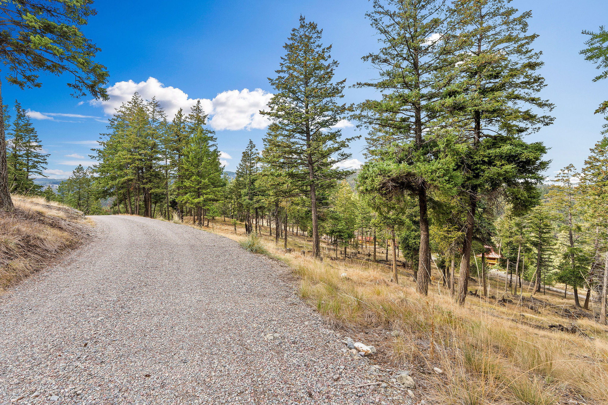395 Buffalo Lane Property Photo 99