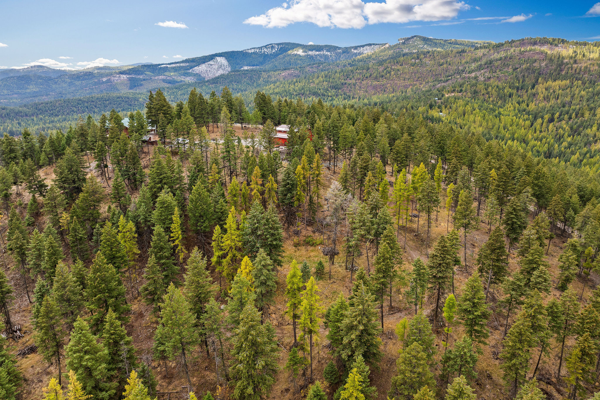 395 Buffalo Lane Property Photo 100