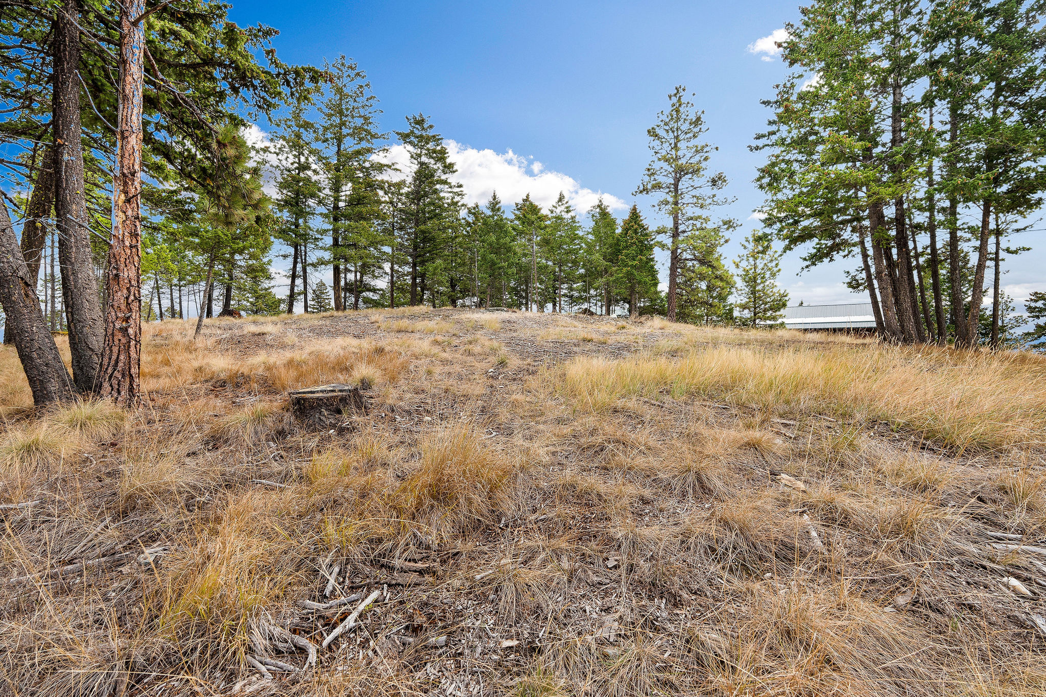 395 Buffalo Lane Property Photo 102