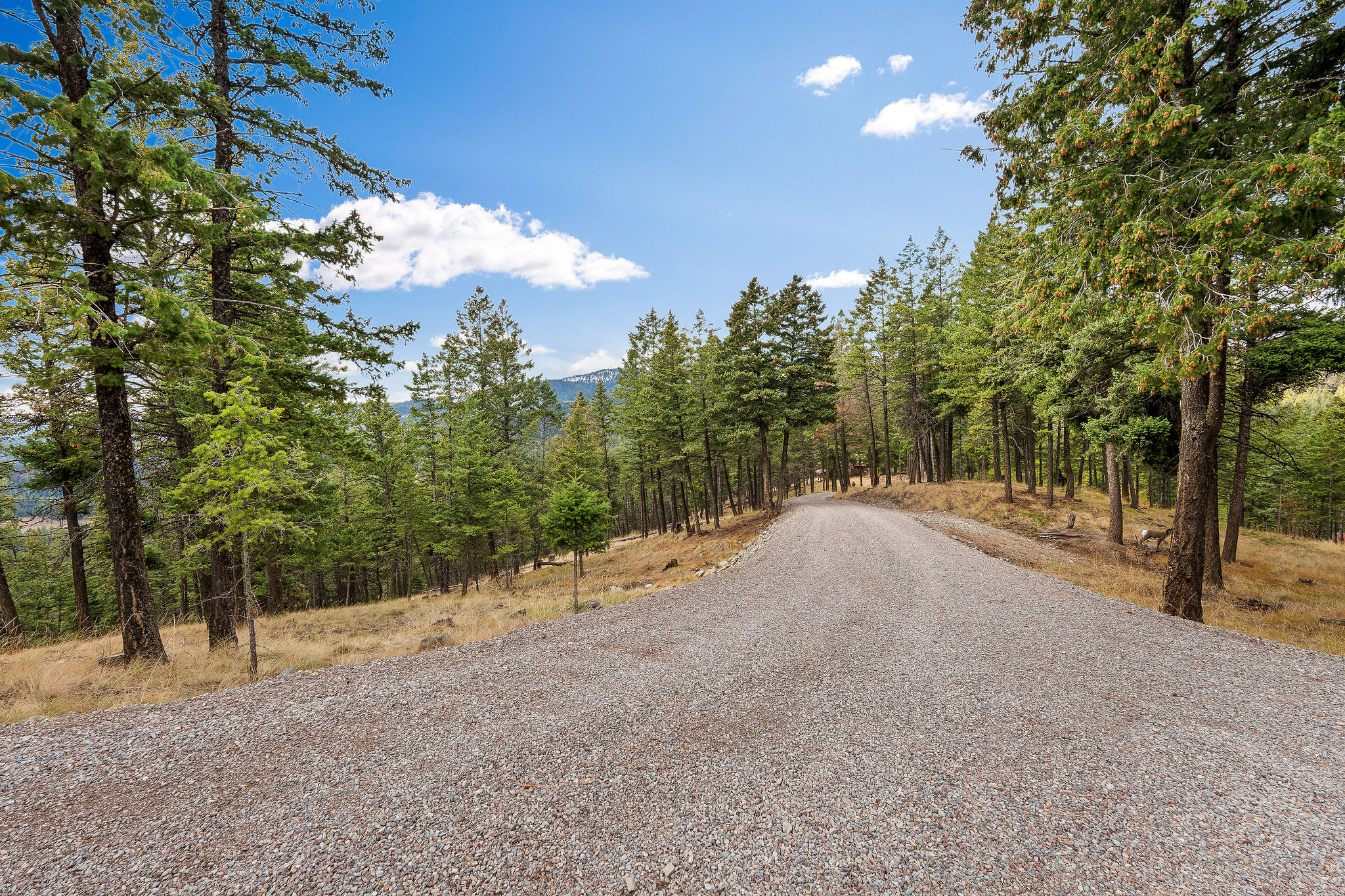 395 Buffalo Lane Property Photo 104