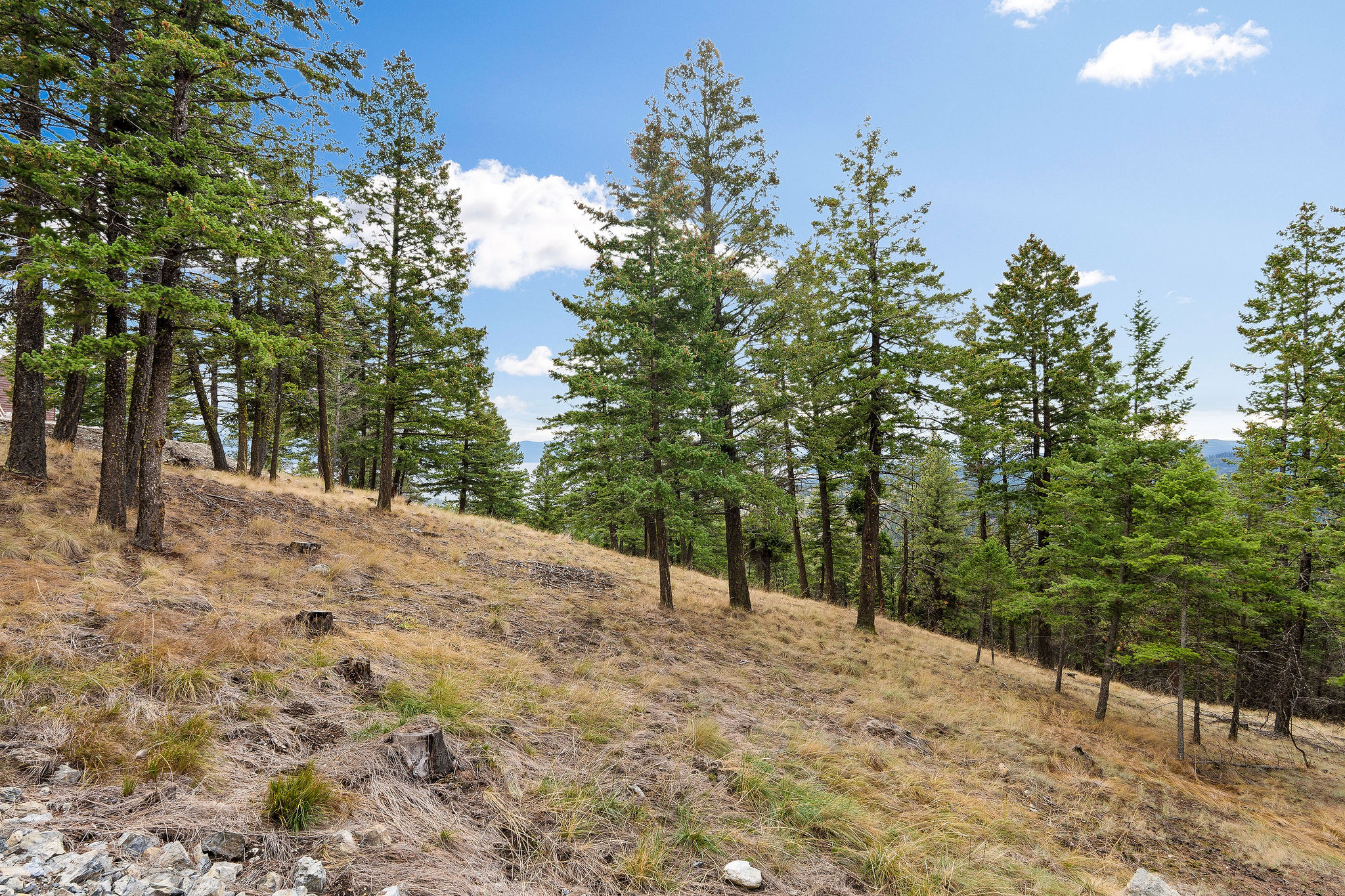 395 Buffalo Lane Property Photo 106