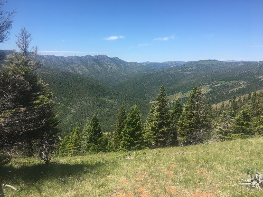TBD Bear Track Road Property Photo 1