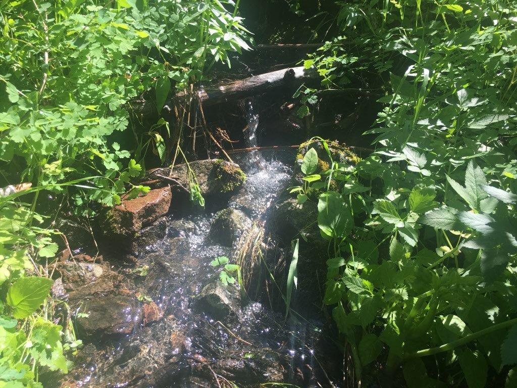 Tbd Bear Track Road Property Photo 2
