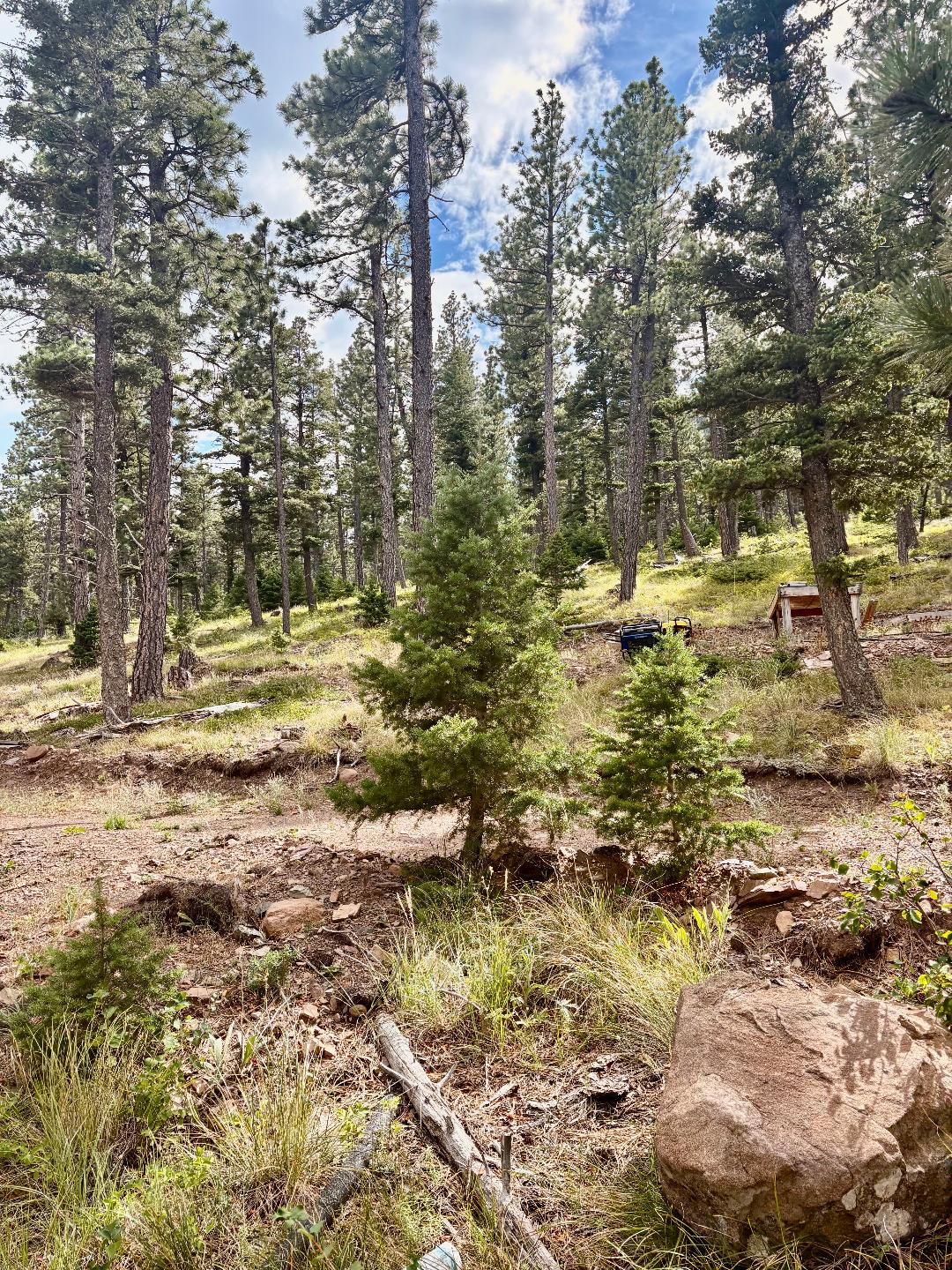 4535 Little Wolf Creek Road Property Photo 3